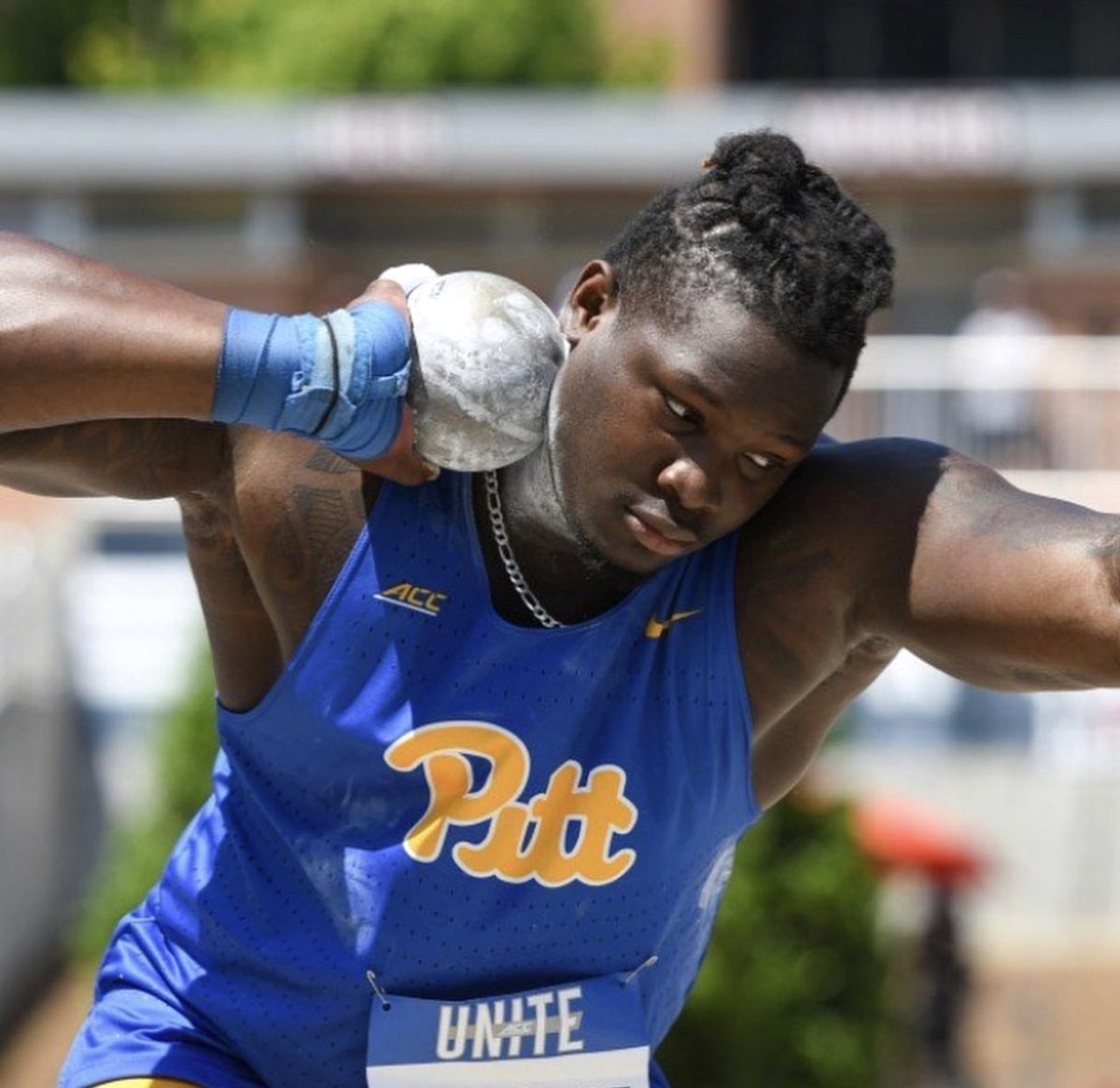 Shot put · Pitt